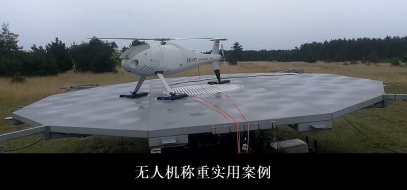 高精度称重仪